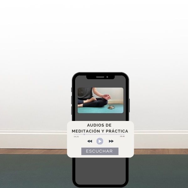 AUDIOS DE MEDITACION GRATIS THE MINDFUL BEAR