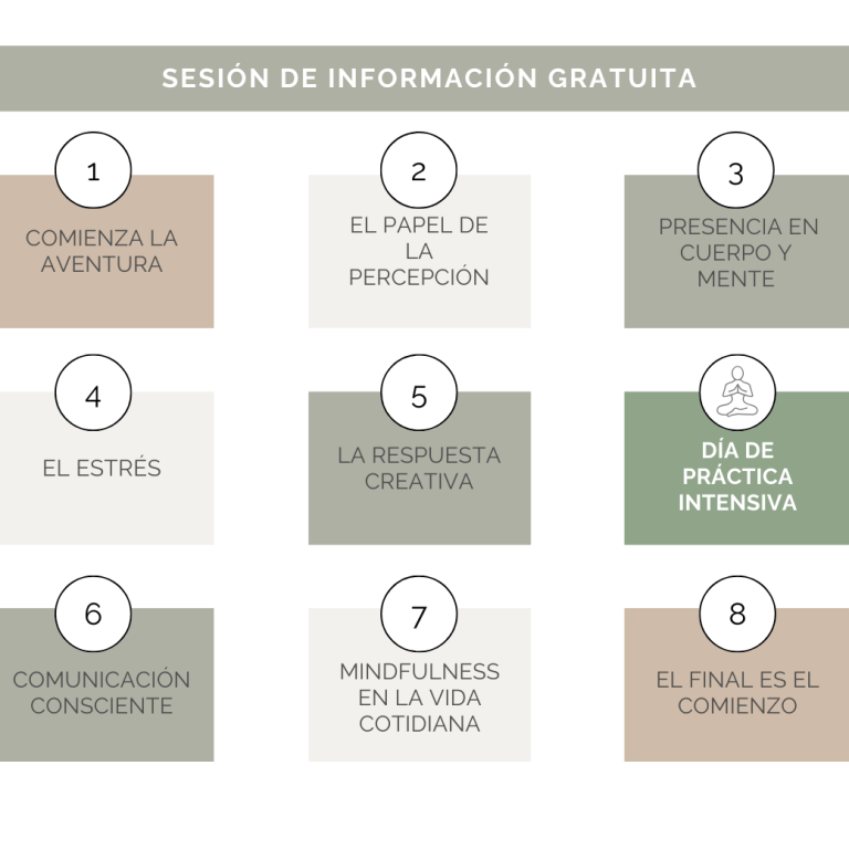 programa mbsr tmb