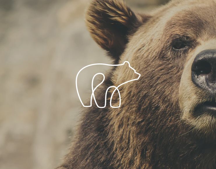 Logo de The Mindful Bear sobre imagen de oso, marca de Gabriela Moretti